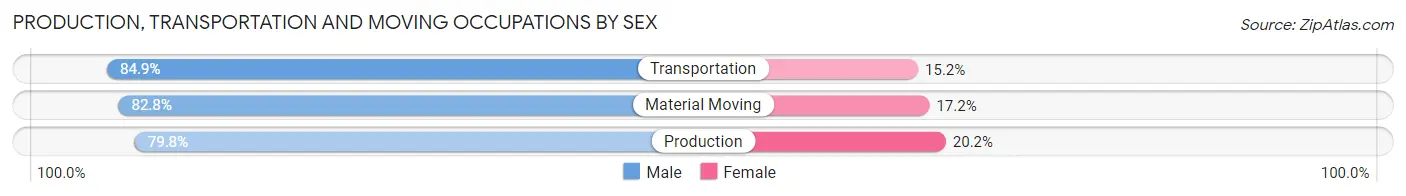 Production, Transportation and Moving Occupations by Sex in Swayzee