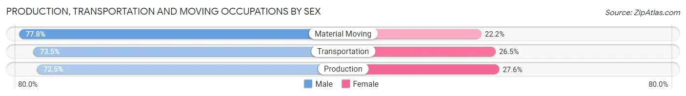Production, Transportation and Moving Occupations by Sex in Terre Haute