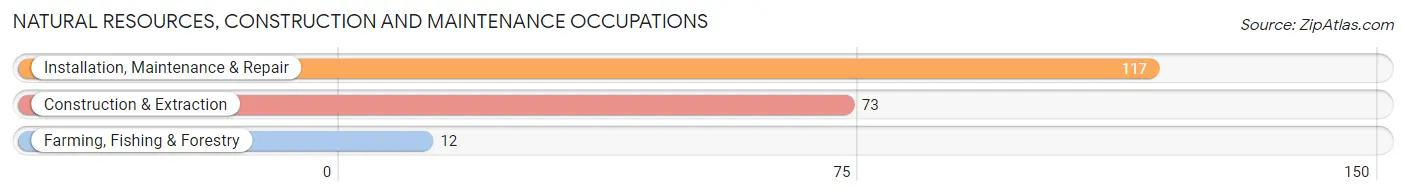 Natural Resources, Construction and Maintenance Occupations in Tipton