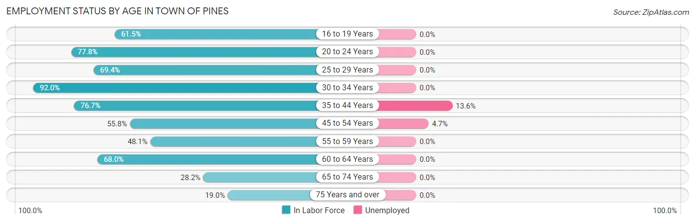 Employment Status by Age in Town of Pines