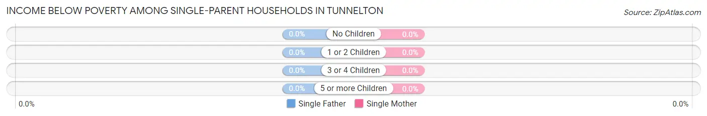 Income Below Poverty Among Single-Parent Households in Tunnelton