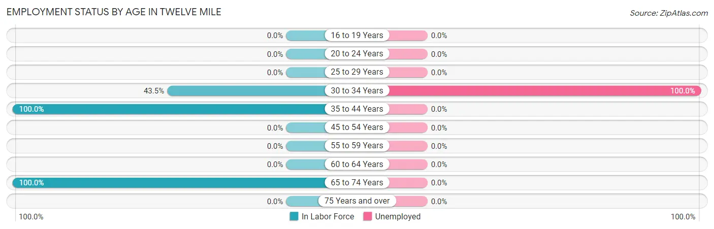 Employment Status by Age in Twelve Mile