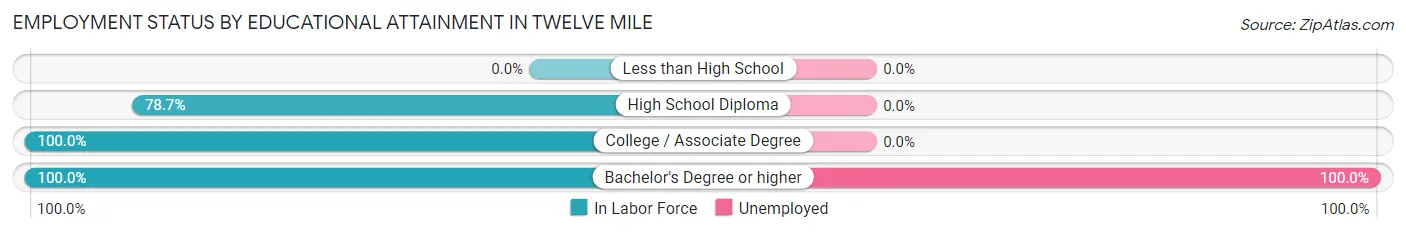 Employment Status by Educational Attainment in Twelve Mile