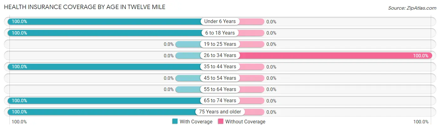 Health Insurance Coverage by Age in Twelve Mile