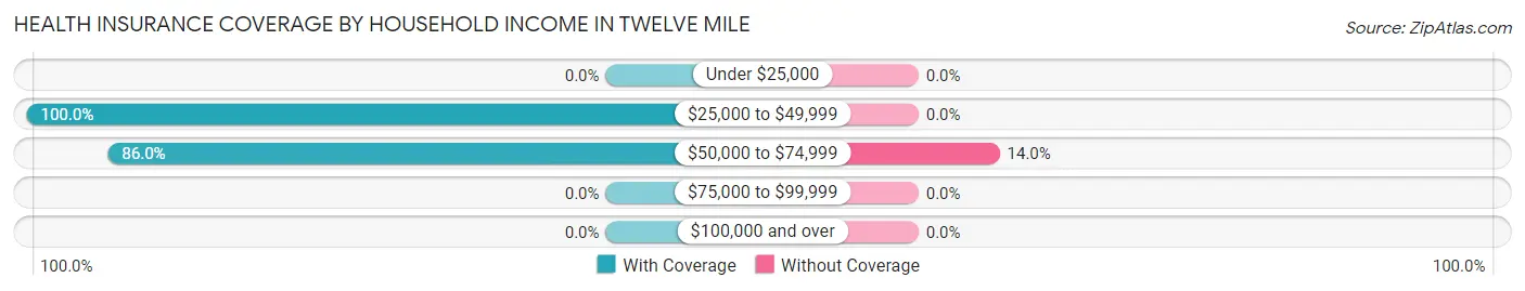 Health Insurance Coverage by Household Income in Twelve Mile