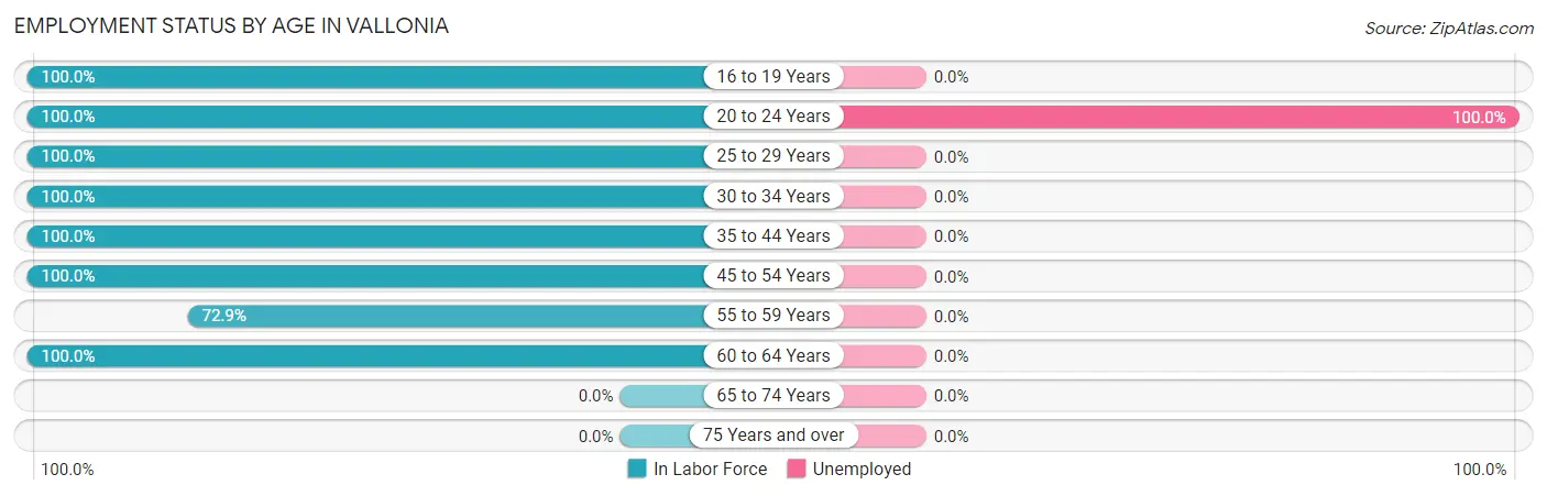 Employment Status by Age in Vallonia