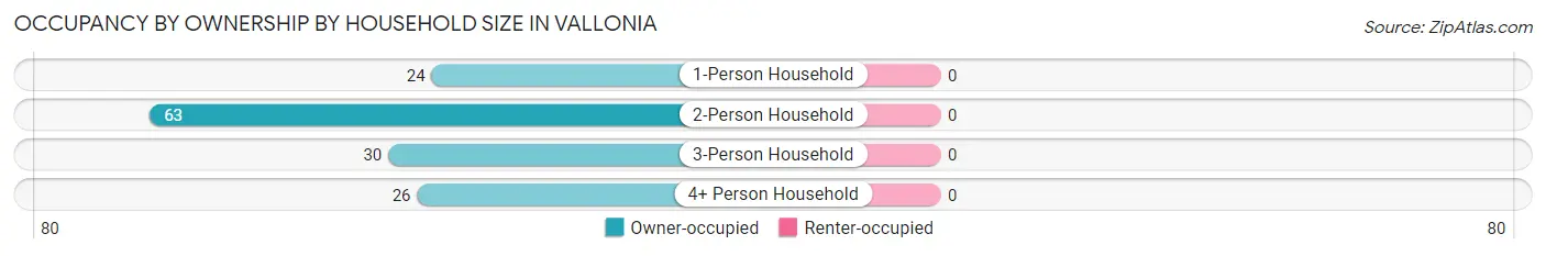 Occupancy by Ownership by Household Size in Vallonia