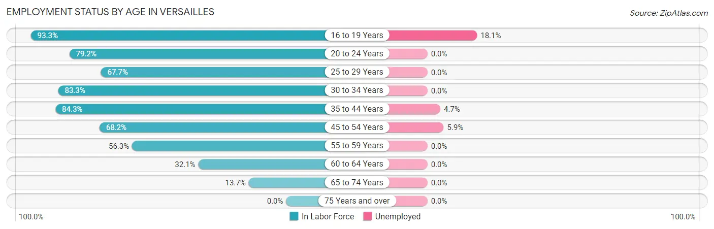 Employment Status by Age in Versailles