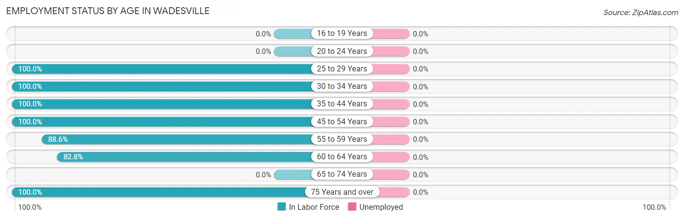 Employment Status by Age in Wadesville