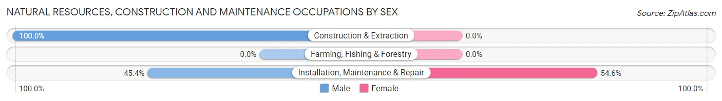 Natural Resources, Construction and Maintenance Occupations by Sex in Walkerton