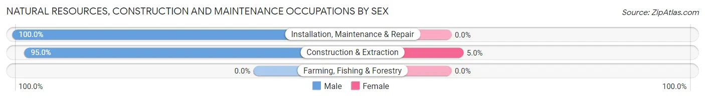 Natural Resources, Construction and Maintenance Occupations by Sex in Warsaw