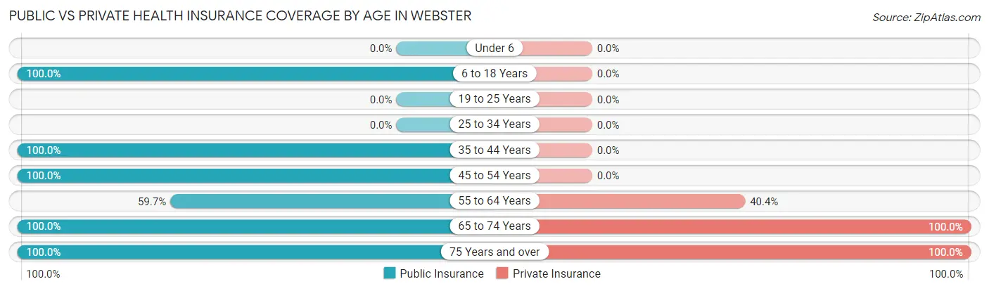 Public vs Private Health Insurance Coverage by Age in Webster