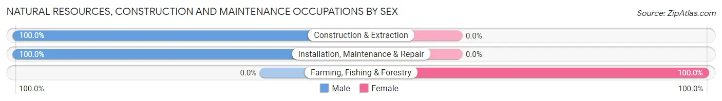Natural Resources, Construction and Maintenance Occupations by Sex in West College Corner