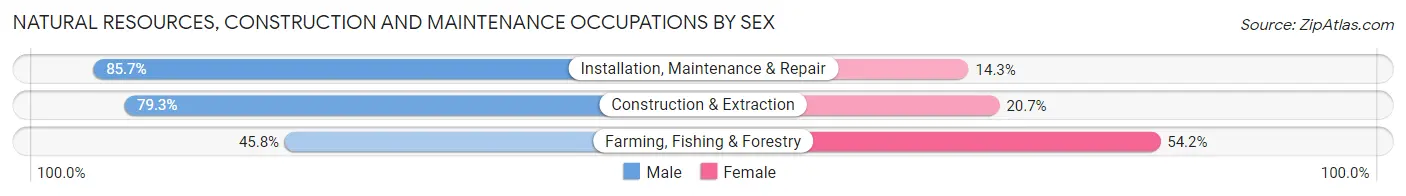 Natural Resources, Construction and Maintenance Occupations by Sex in West Lafayette