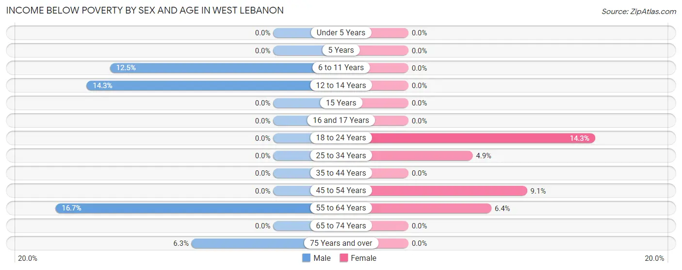 Income Below Poverty by Sex and Age in West Lebanon