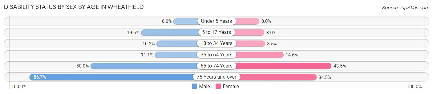Disability Status by Sex by Age in Wheatfield