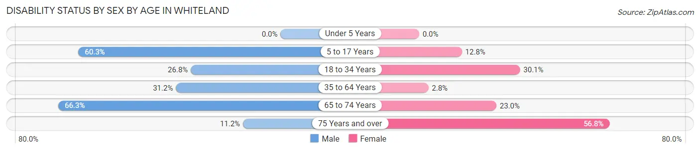 Disability Status by Sex by Age in Whiteland