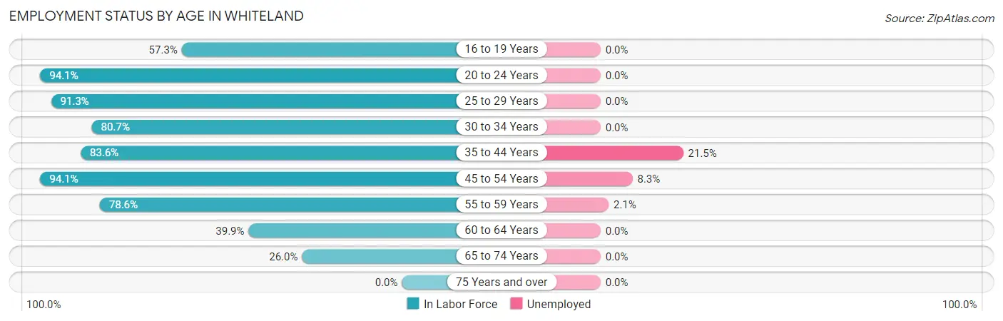 Employment Status by Age in Whiteland