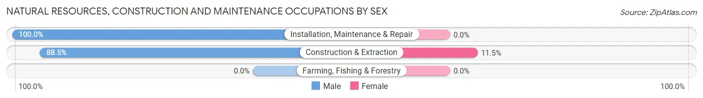 Natural Resources, Construction and Maintenance Occupations by Sex in Whiteland