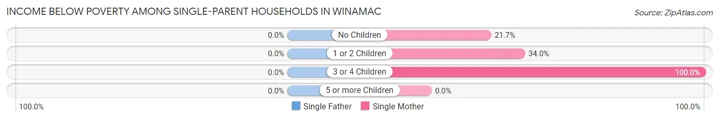 Income Below Poverty Among Single-Parent Households in Winamac