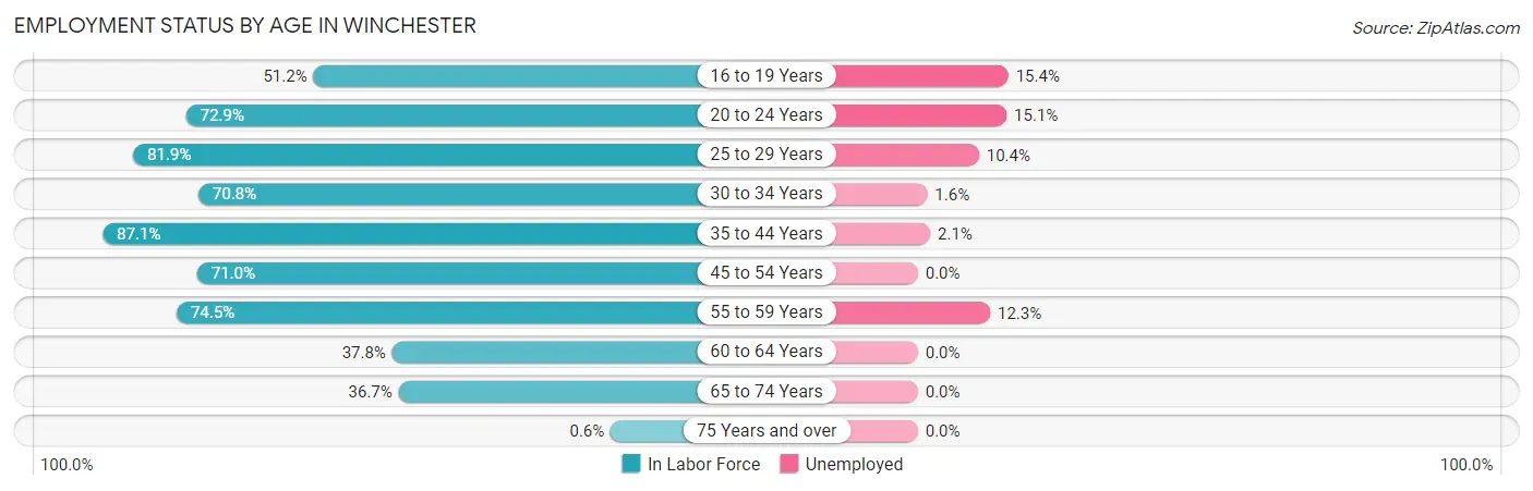 Employment Status by Age in Winchester