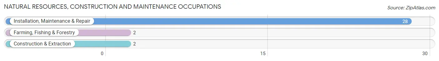 Natural Resources, Construction and Maintenance Occupations in Yeoman