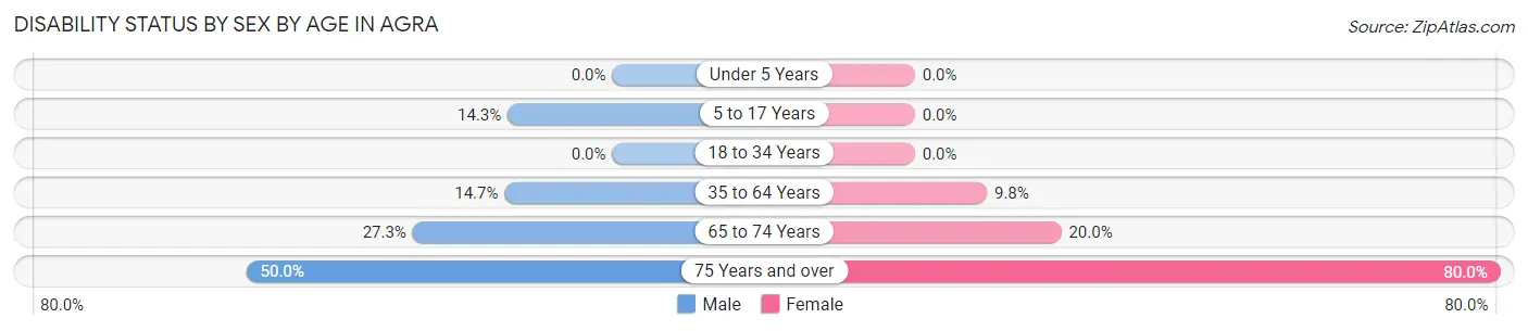 Disability Status by Sex by Age in Agra