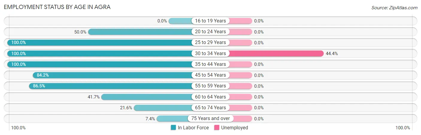 Employment Status by Age in Agra