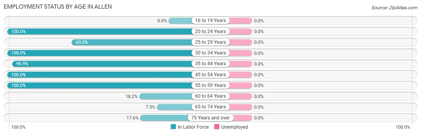 Employment Status by Age in Allen