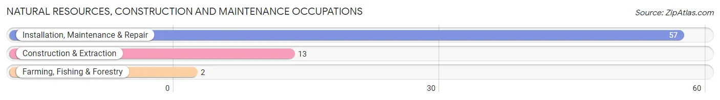 Natural Resources, Construction and Maintenance Occupations in Americus