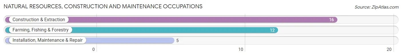 Natural Resources, Construction and Maintenance Occupations in Arlington