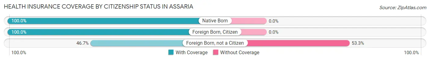 Health Insurance Coverage by Citizenship Status in Assaria