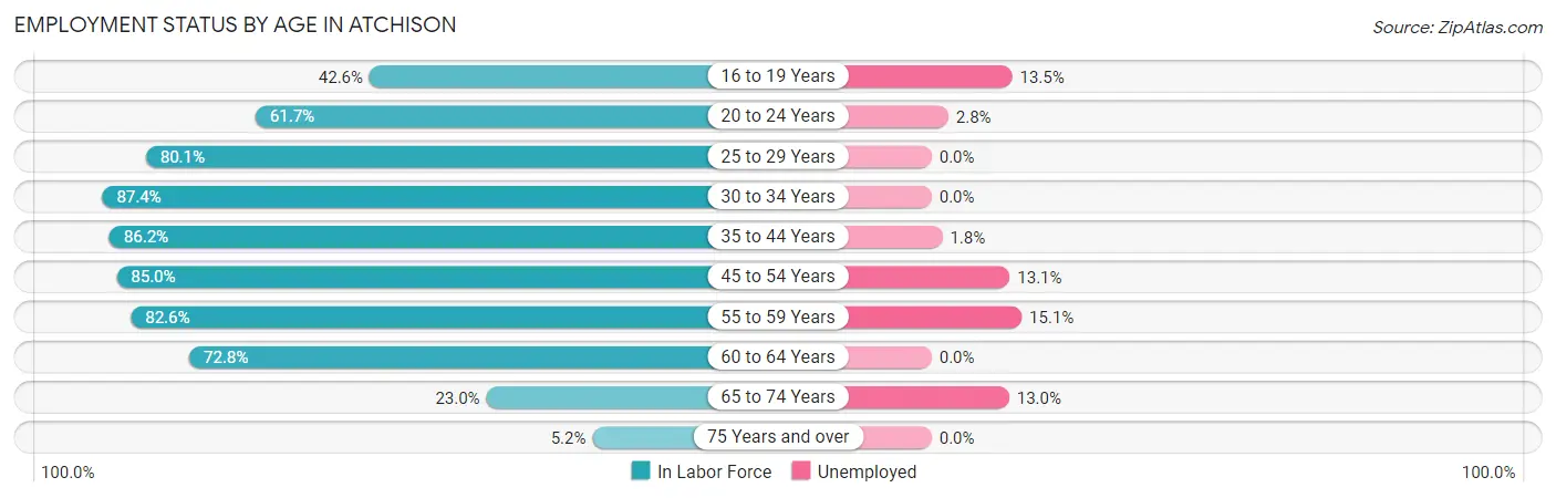 Employment Status by Age in Atchison