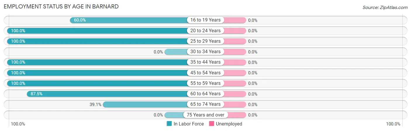 Employment Status by Age in Barnard