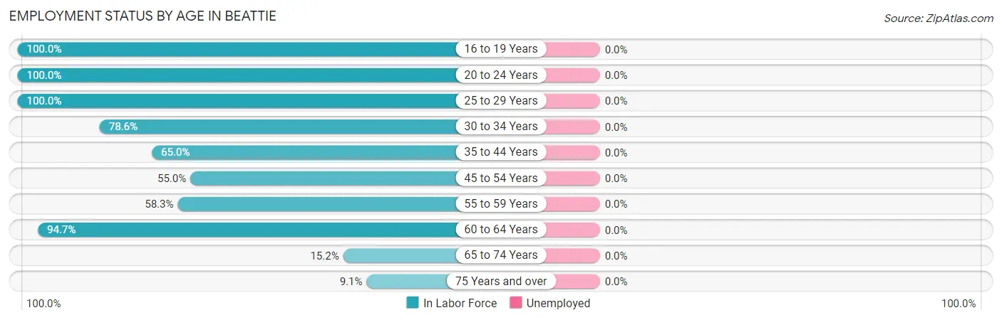 Employment Status by Age in Beattie