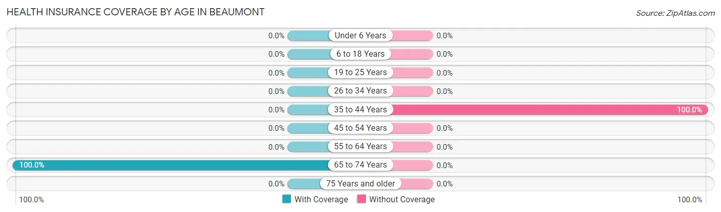 Health Insurance Coverage by Age in Beaumont