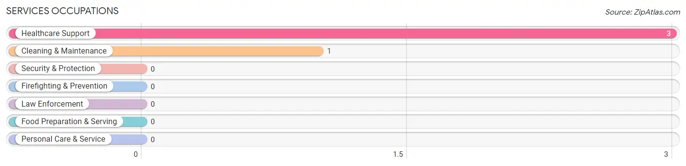 Services Occupations in Belpre