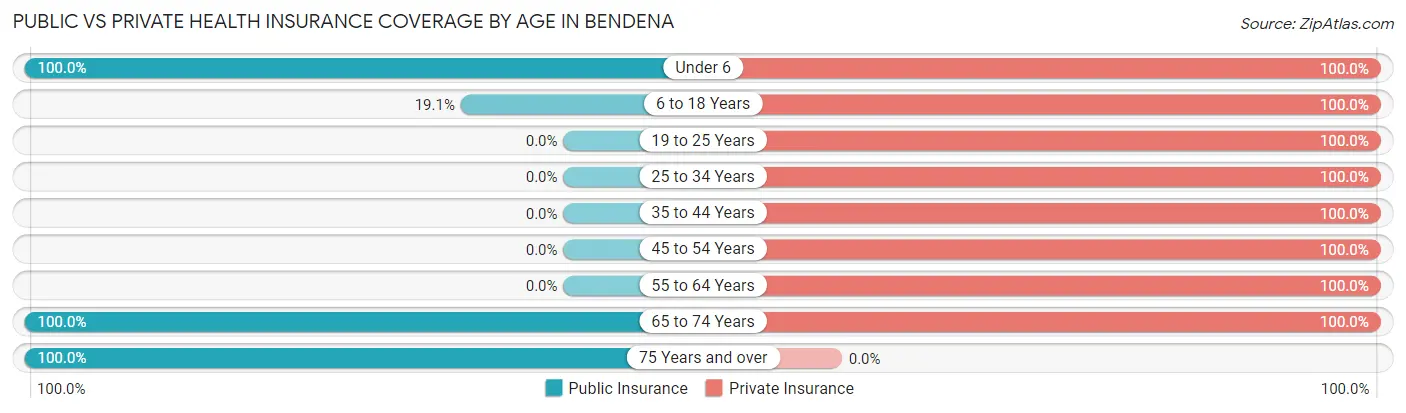 Public vs Private Health Insurance Coverage by Age in Bendena