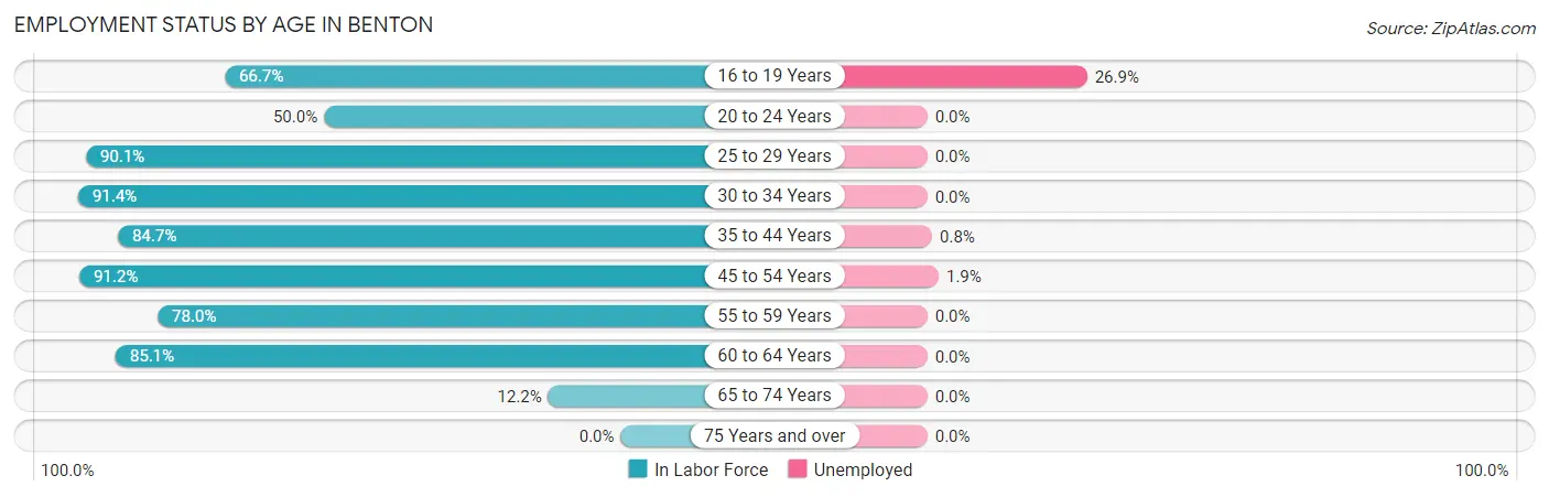 Employment Status by Age in Benton