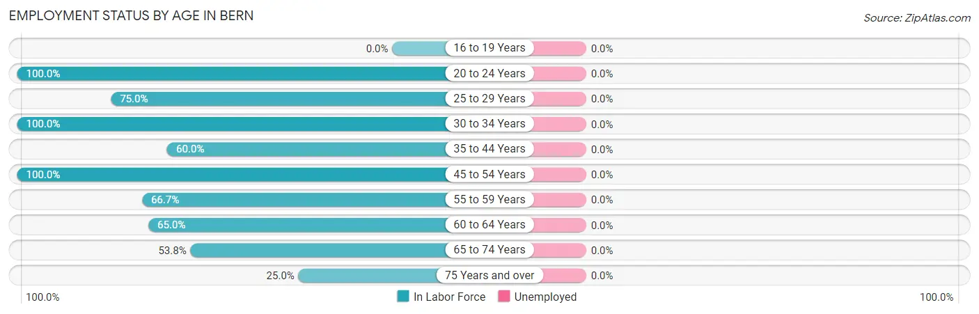 Employment Status by Age in Bern