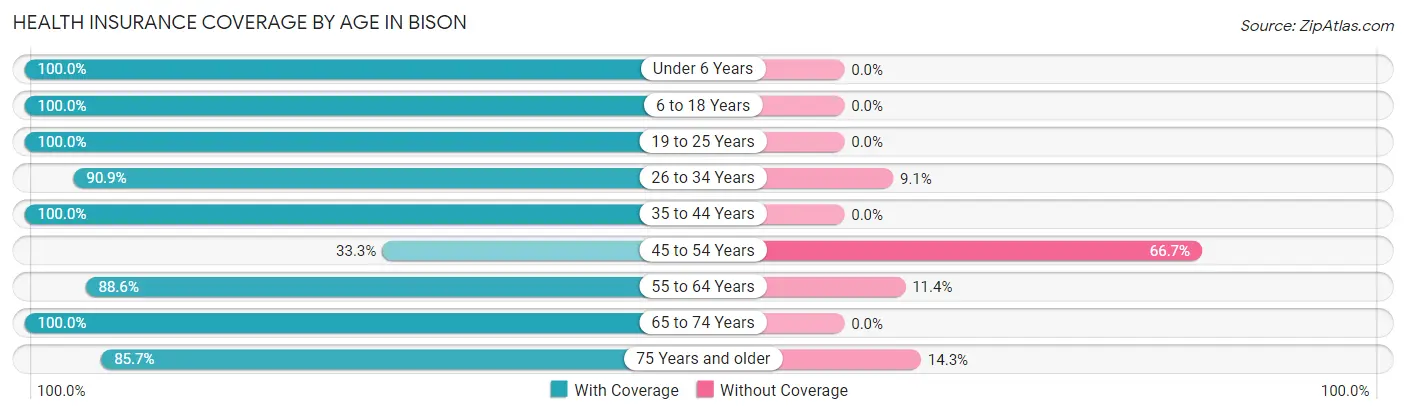 Health Insurance Coverage by Age in Bison