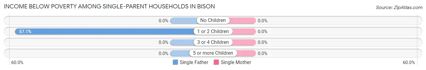 Income Below Poverty Among Single-Parent Households in Bison