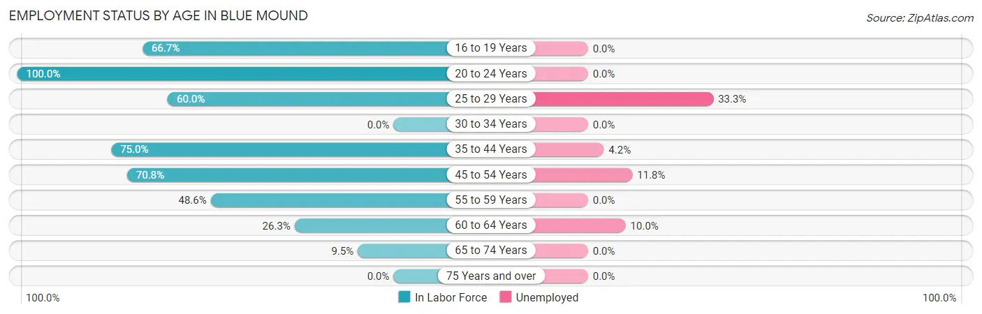 Employment Status by Age in Blue Mound