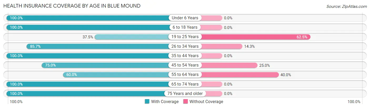 Health Insurance Coverage by Age in Blue Mound