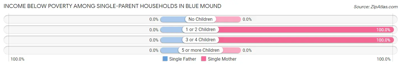 Income Below Poverty Among Single-Parent Households in Blue Mound