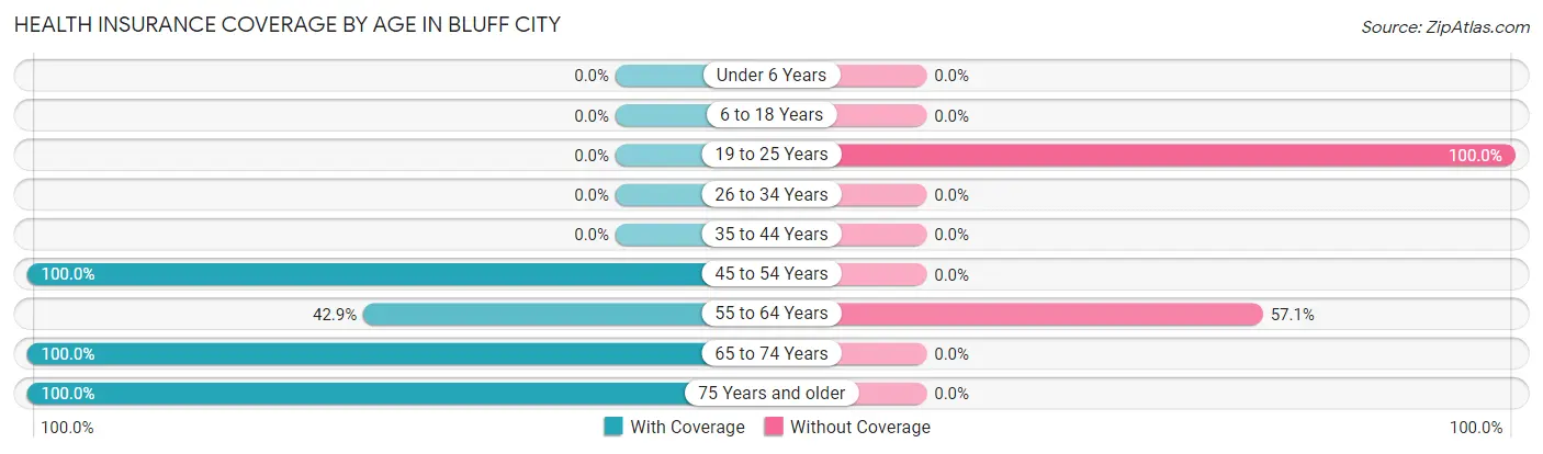 Health Insurance Coverage by Age in Bluff City