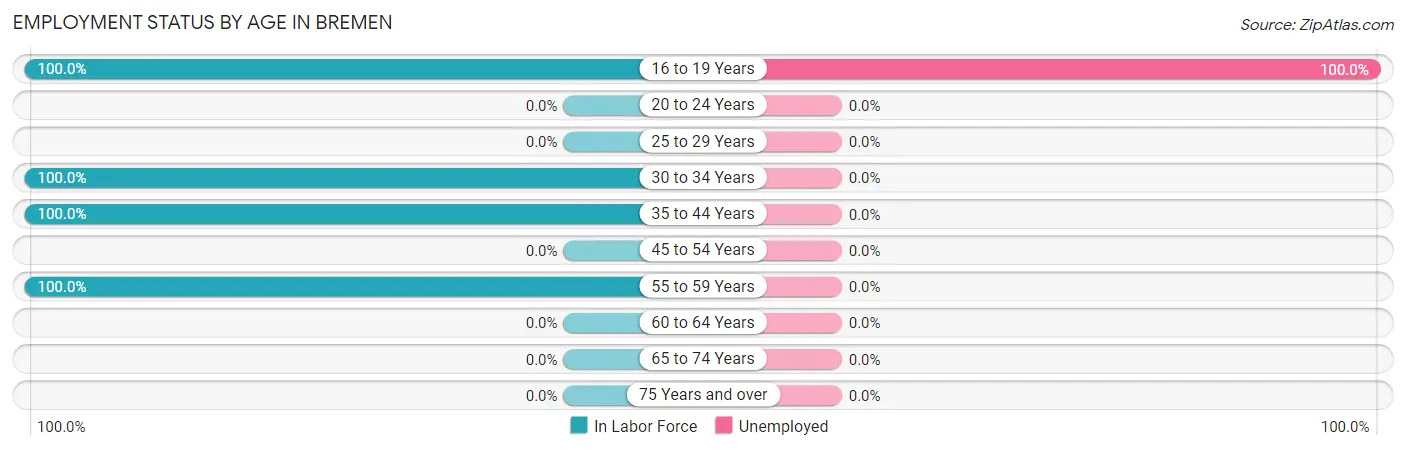 Employment Status by Age in Bremen