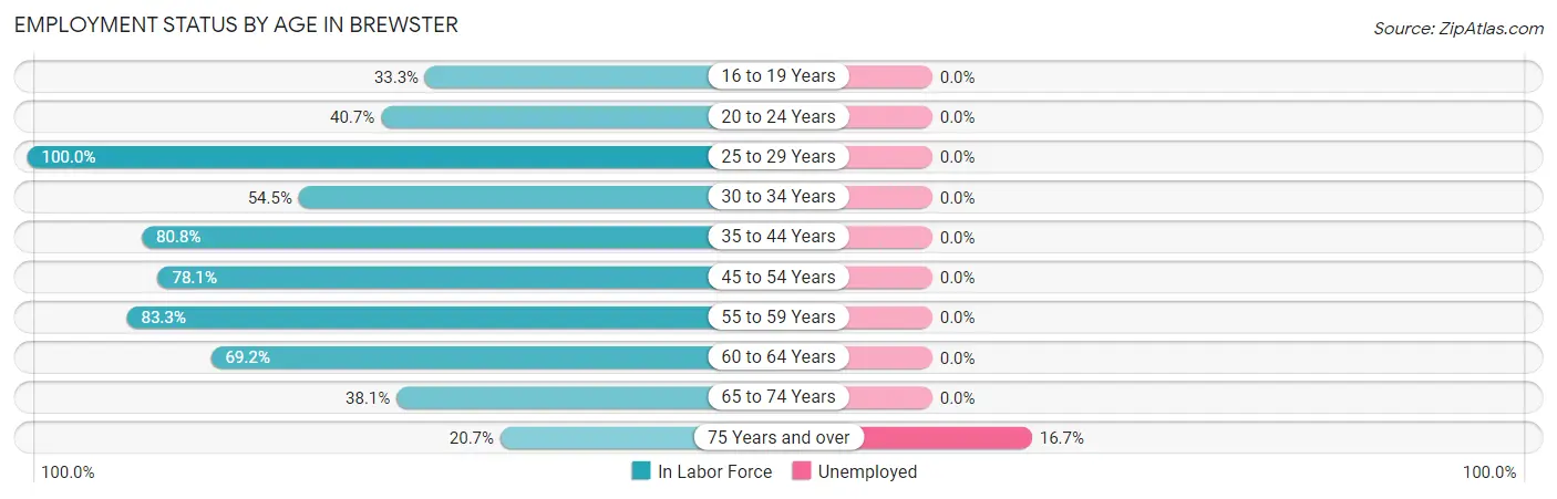 Employment Status by Age in Brewster