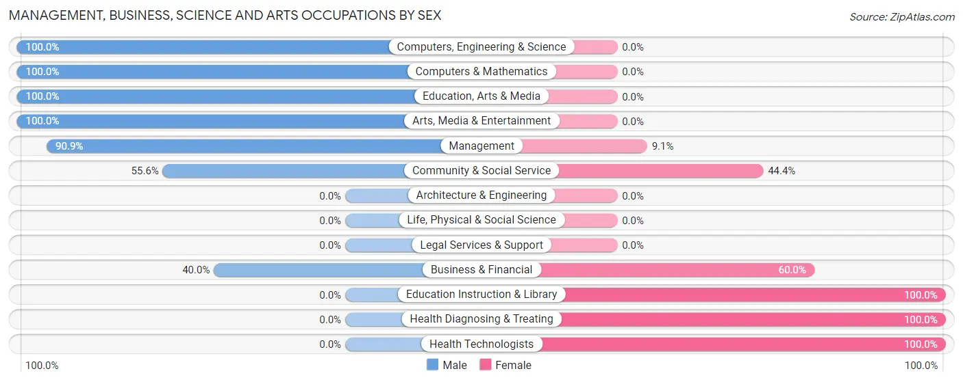 Management, Business, Science and Arts Occupations by Sex in Brewster