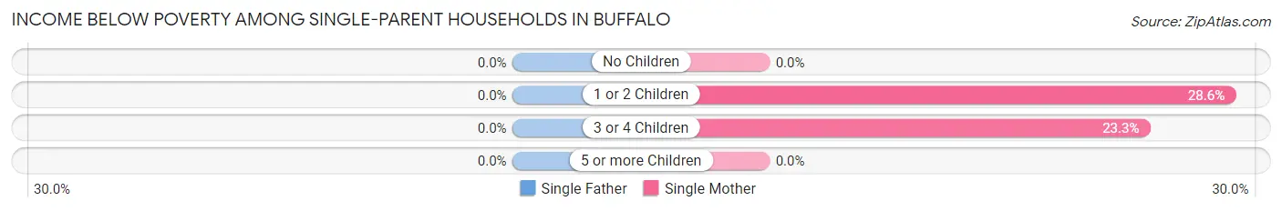 Income Below Poverty Among Single-Parent Households in Buffalo